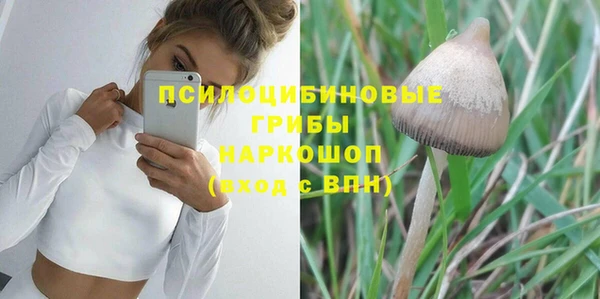 не бодяженный Арсеньев