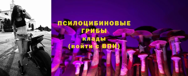 не бодяженный Арсеньев