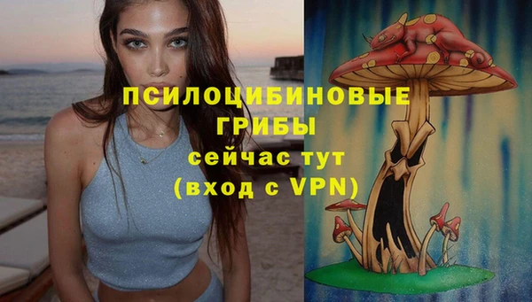 тгк Аркадак