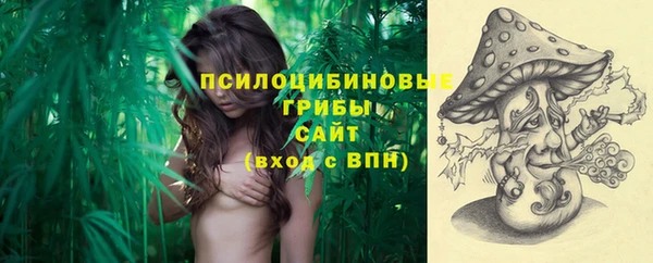 не бодяженный Арсеньев