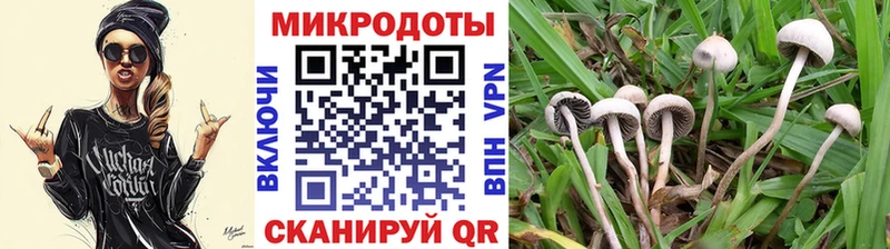 кракен вход  Очёр  Псилоцибиновые грибы прущие грибы 